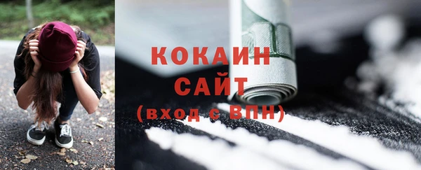 соль ск Алексин