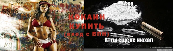 индика Алексеевка