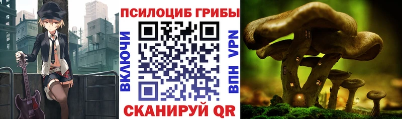 hydra вход  Бабаево  Галлюциногенные грибы ЛСД 